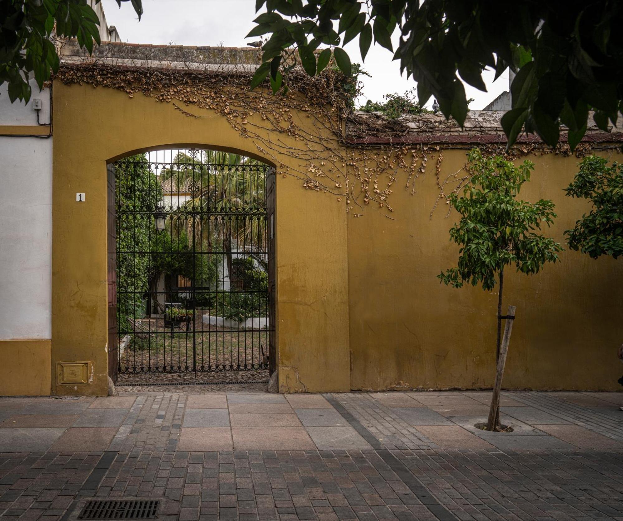 Palacio De Los Angulo Casa Historica En El Centro De Cordoba Dış mekan fotoğraf